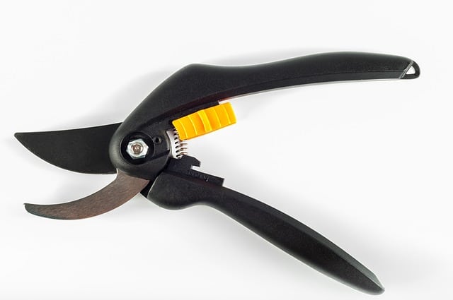 Hand Pruners